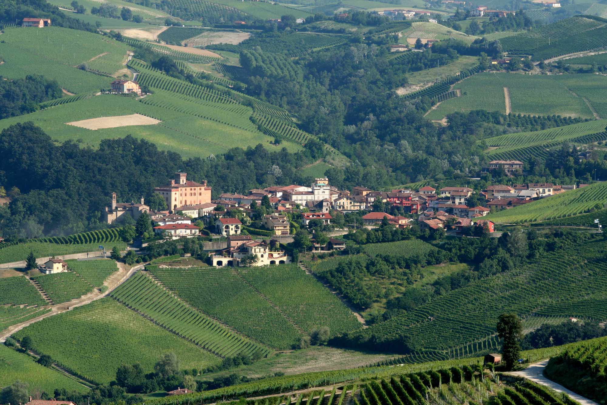 barolo_citta_del_vino_2021_camerano